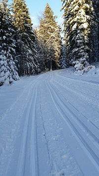 pisteSRHF1